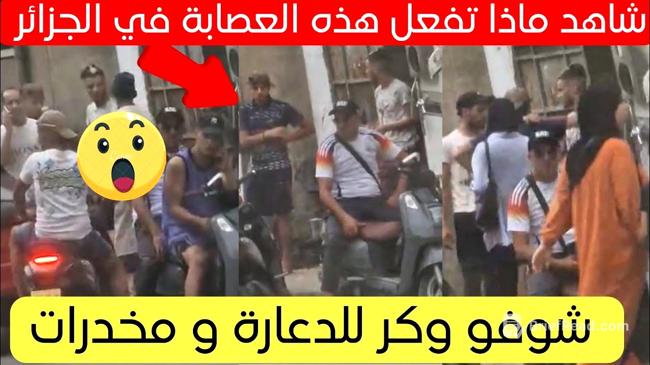 شاهد ماذا تفعل هذه العصابة في حي بوفاريك بالجزائر العاصمة 😱