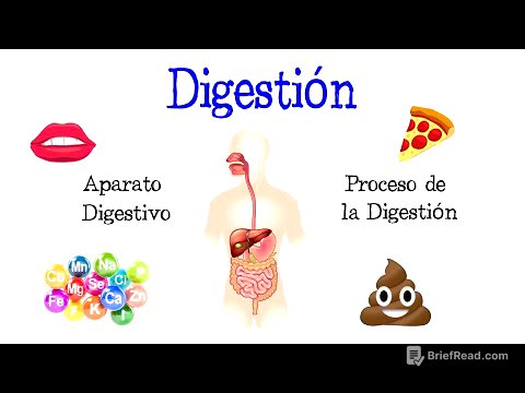 🍎 La Digestión y su Proceso, Aparato Digestivo 💩 [Fácil y Rápido] | BIOLOGÍA |