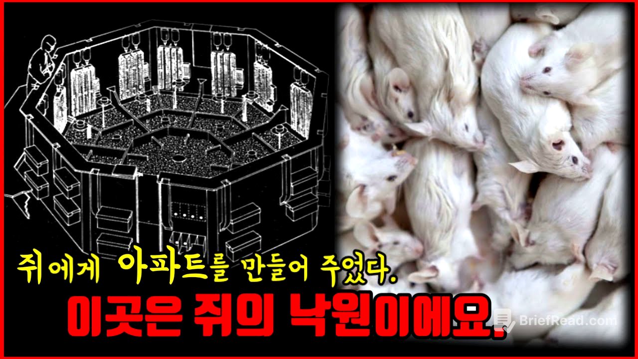 【심랑괴】쥐의 낙원을 만들어주자 그곳은 점점 지옥으로 변했고 멸망으로 치달았다. - 쥐의 낙원 실험. [실제]