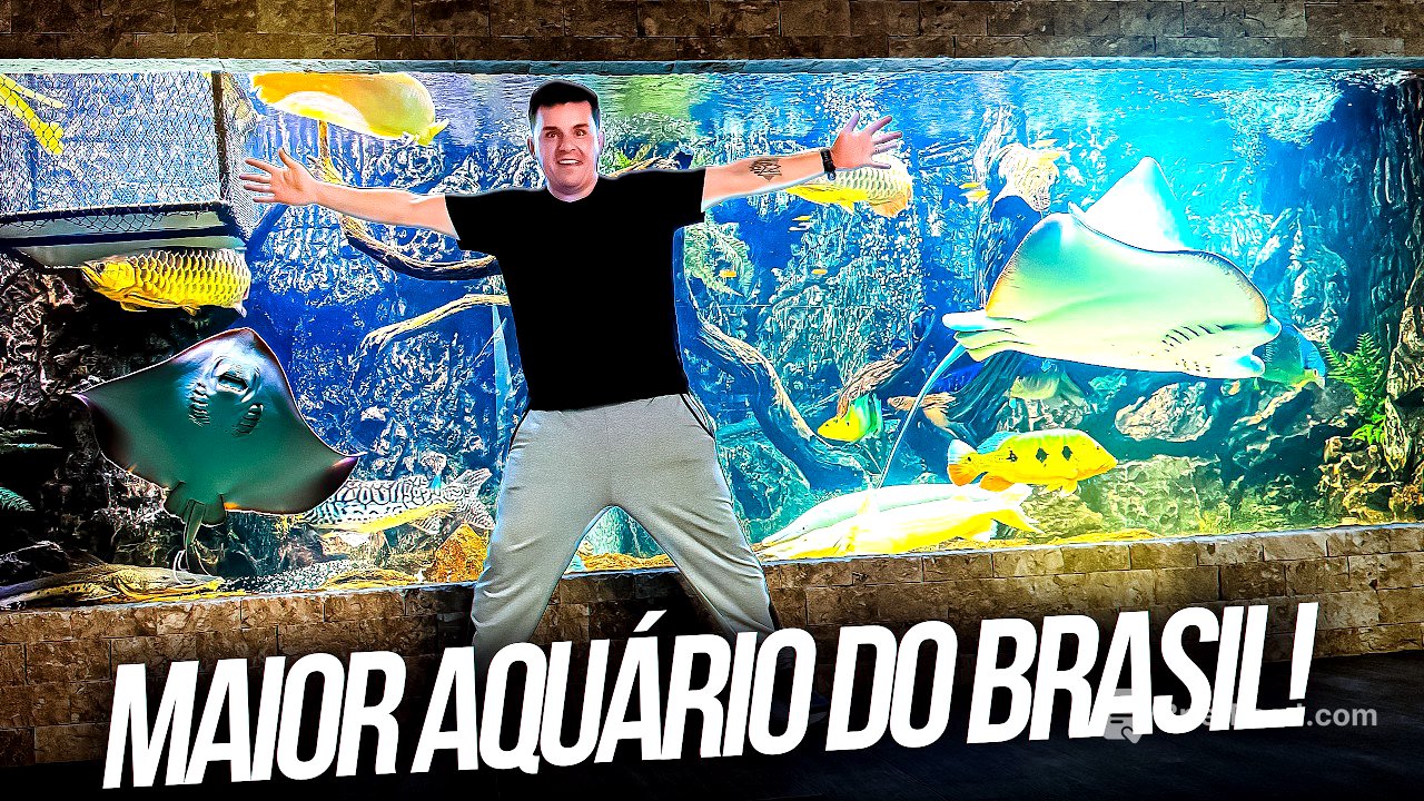 18 MIL LITROS DE PURO ESPETÁCULO! O MAIOR AQUÁRIO RESIDENCIAL DO BRASIL!