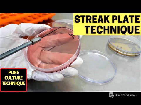 Streak Plate Technique for The Isolation of Pure Culture_A Complete Procedure (Microbiology)