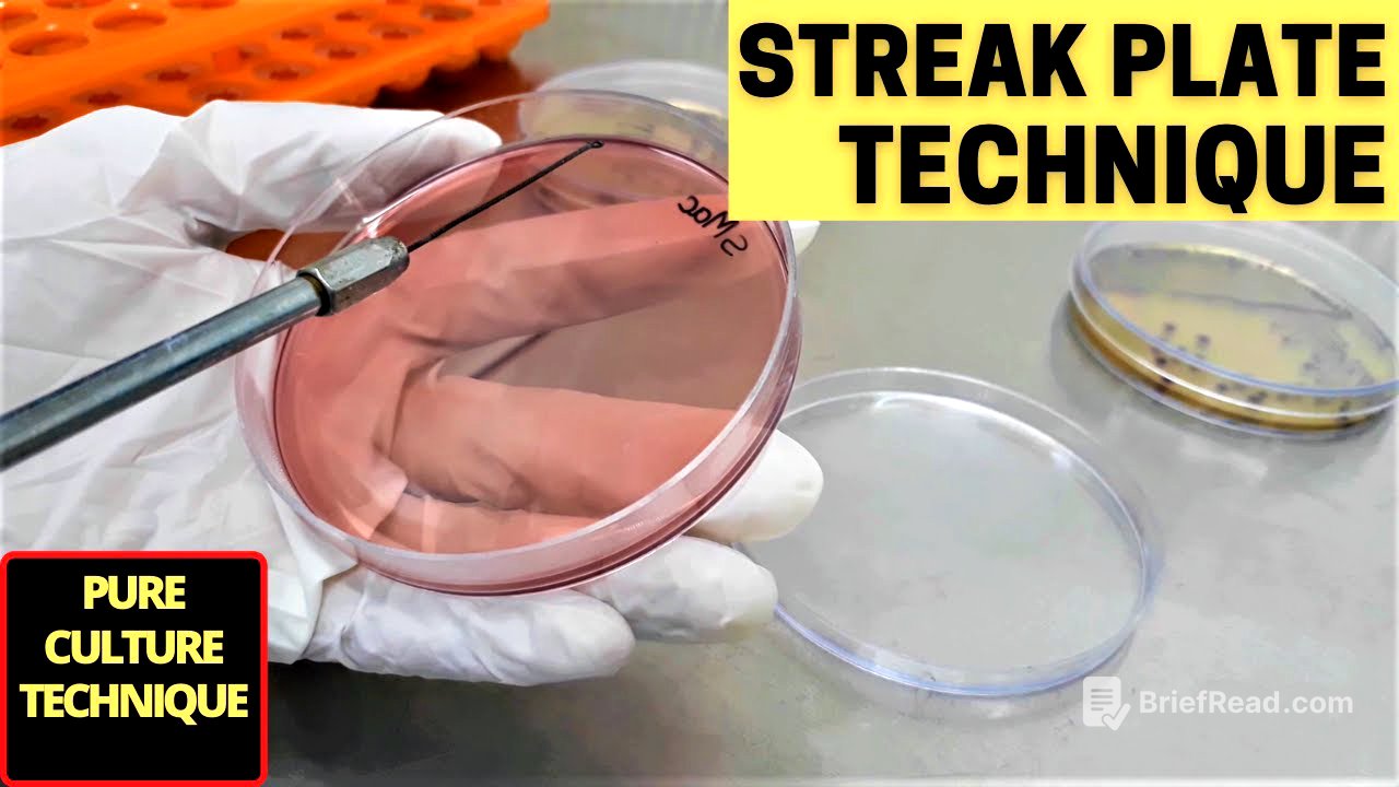 Streak Plate Technique for The Isolation of Pure Culture_A Complete Procedure (Microbiology)