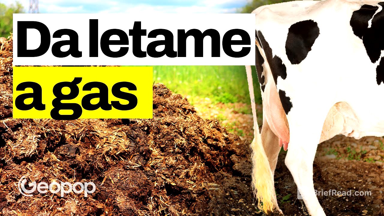 Energia dalla cacca degli animali: vi facciamo vedere come funziona un impianto di biometano
