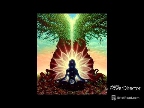 COMO SE PUEDE CONECTAR CON LA FUENTE ORIGINAL DE LUZ JACONOR 73