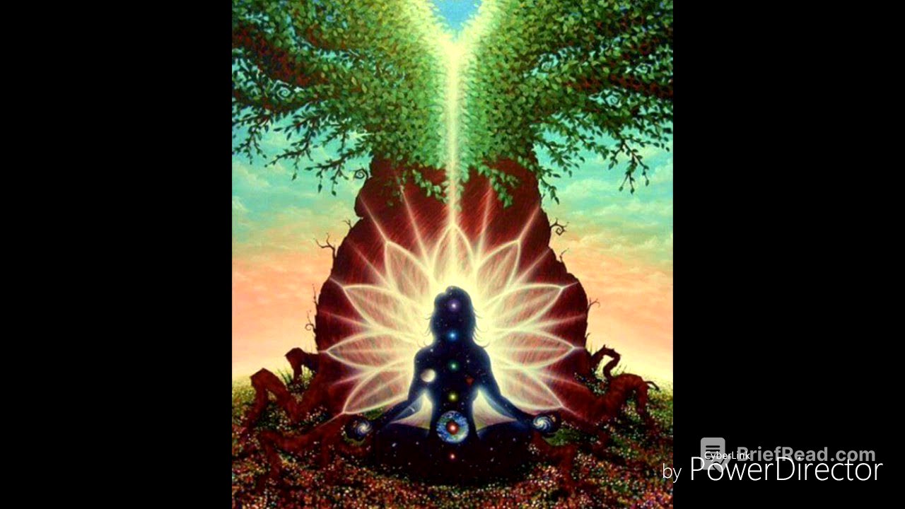 COMO SE PUEDE CONECTAR CON LA FUENTE ORIGINAL DE LUZ JACONOR 73