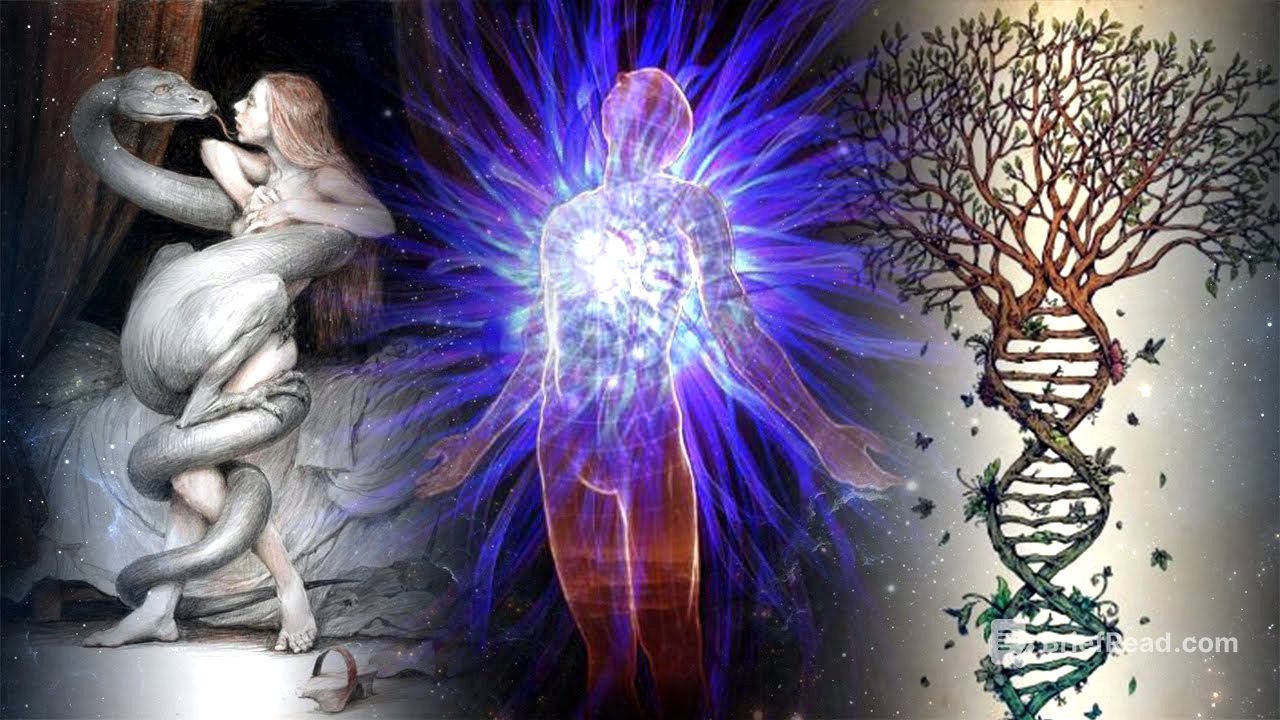 ACV267 Hipnosis: Cómo sanar tu Árbol Familiar y permitirte SER desde tu Ser Luz | Mátrix Individual