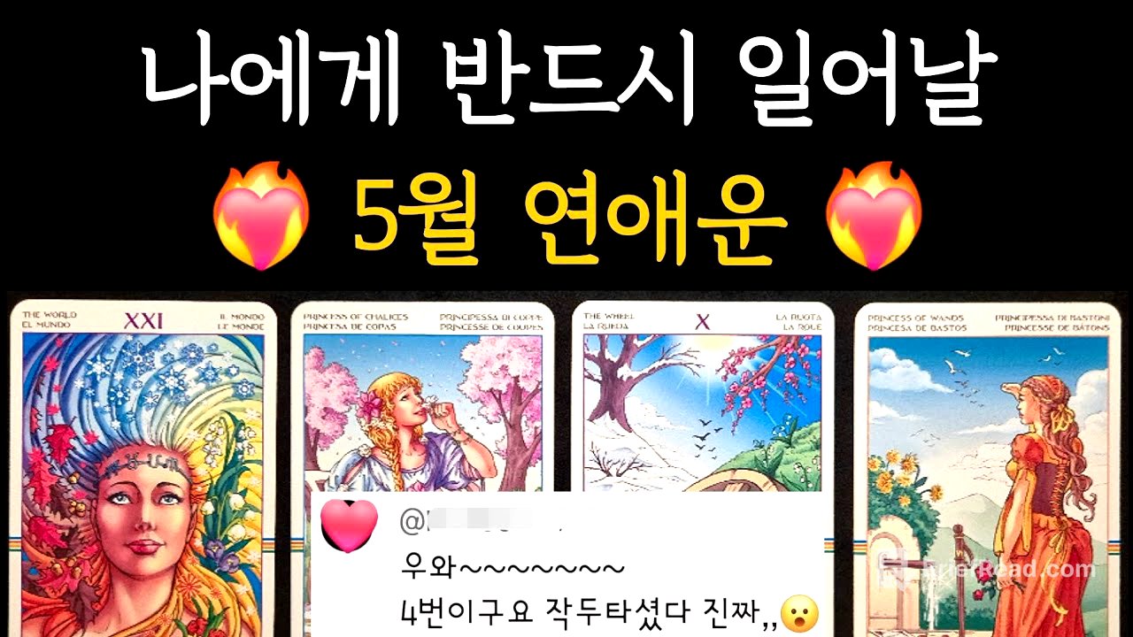 [타로] 무섭도록 잘맞는❤️‍🔥나에게 반드시 일어날 5월 연애운 + Tip까지⭐️