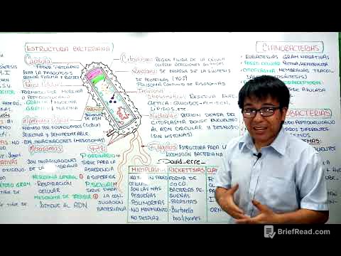 BACTERIAS - REPASO