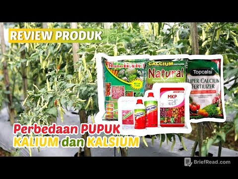 Ketahui Perbedaan KALIUM Dan KALSIUM, Dijamin Produktifitas Meningkat dan Terhindar Dari Kerontokan