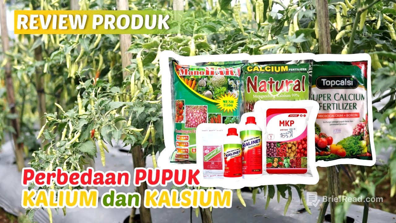 Ketahui Perbedaan KALIUM Dan KALSIUM, Dijamin Produktifitas Meningkat dan Terhindar Dari Kerontokan