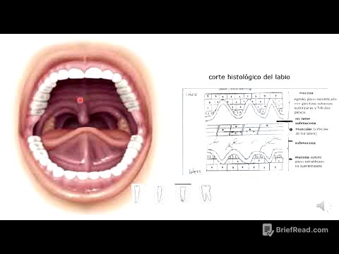2 Cavidad bucal y dentición.
