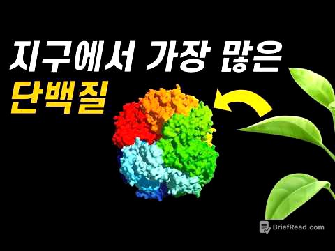 광합성의 치명적인 문제점!｜가장 많지만 바보 같은 단백질, 루비스코 이야기