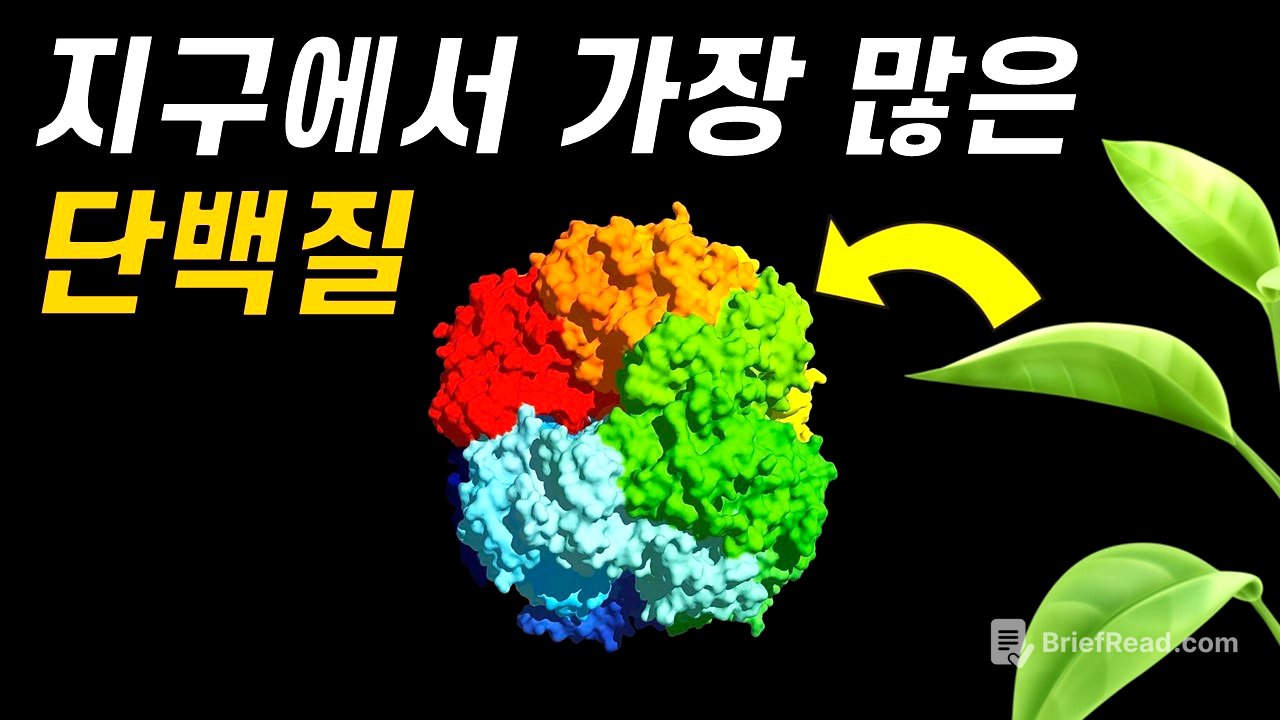 광합성의 치명적인 문제점!｜가장 많지만 바보 같은 단백질, 루비스코 이야기