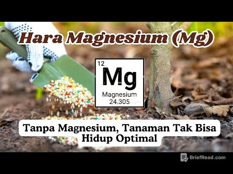 Mengenal Magnesium (Mg): Unsur hara kedua yang kebutuhannya penting dipahami oleh petani