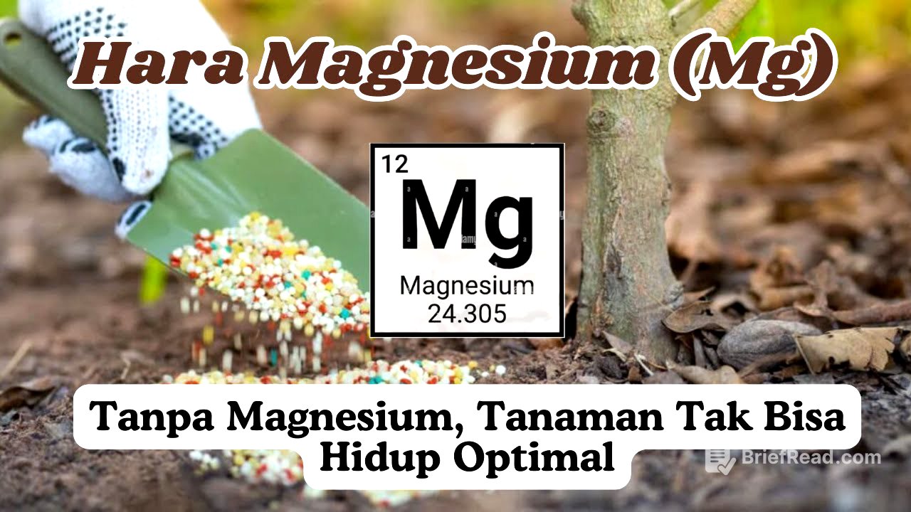 Mengenal Magnesium (Mg): Unsur hara kedua yang kebutuhannya penting dipahami oleh petani