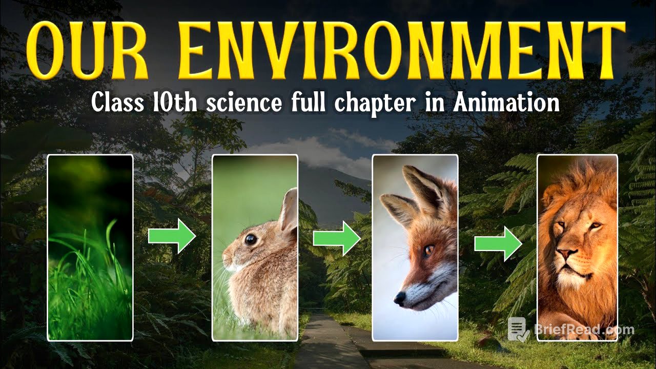 Our Environment full chapter (Animation) | Class 10 Science chapter 14 | CBSE | NCERT