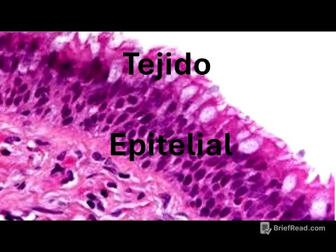 Tejido epitelial parte 2