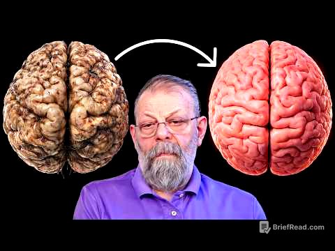 Как «починить» мозг? Показываем 3 мощных упражнения для мозга