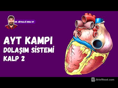 Dolaşım Sistemi Kalp 2 | Dr. Biyoloji | AYT Dönem 2026 - 2027