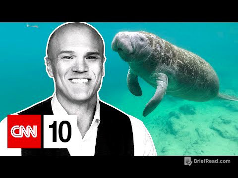Why manatees are starving in Florida | May 2, 2025