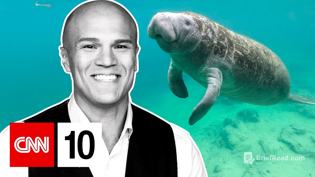 Why manatees are starving in Florida | May 2, 2025
