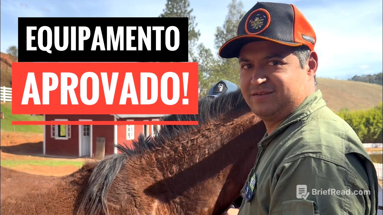 NOSSAS ÉGUAS ESTAVAM PRECISANDO DISSO!
