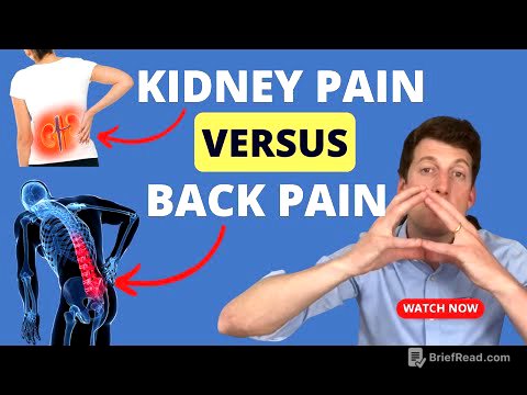 How do I know if I have kidney pain or low back pain?