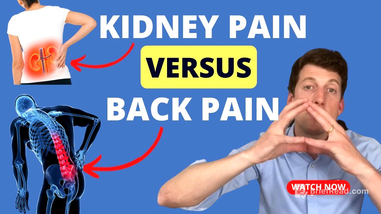 How do I know if I have kidney pain or low back pain?