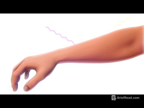 La Biología del Color de la Piel | HHMI BioInteractive Video