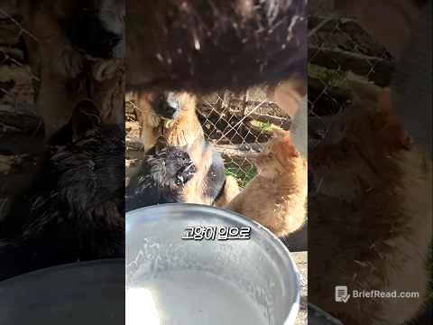 산양유를 고양이 입으로 발사하는 이유