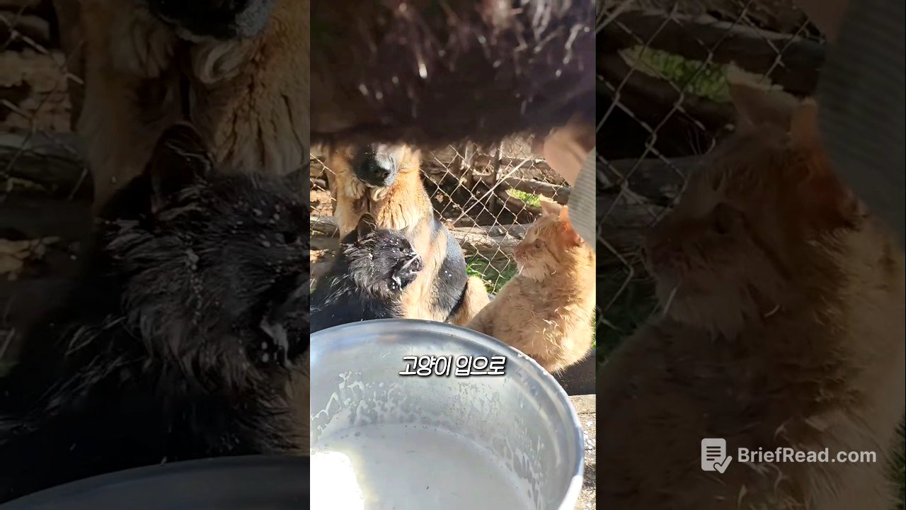 산양유를 고양이 입으로 발사하는 이유