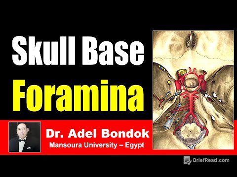 Foramina of the Skull and their Contents, Dr Adel Bondok