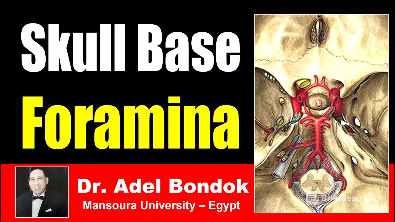 Foramina of the Skull and their Contents, Dr Adel Bondok