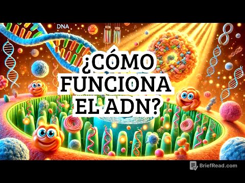 ¿Cómo funciona el ADN? | Animación desde la célula hasta los cromosomas