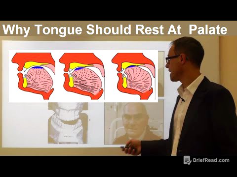 Should Tongue Rest/ Touch at the Palate/ Maxilla/ Roof of the Mouth By Dr Mike Mew