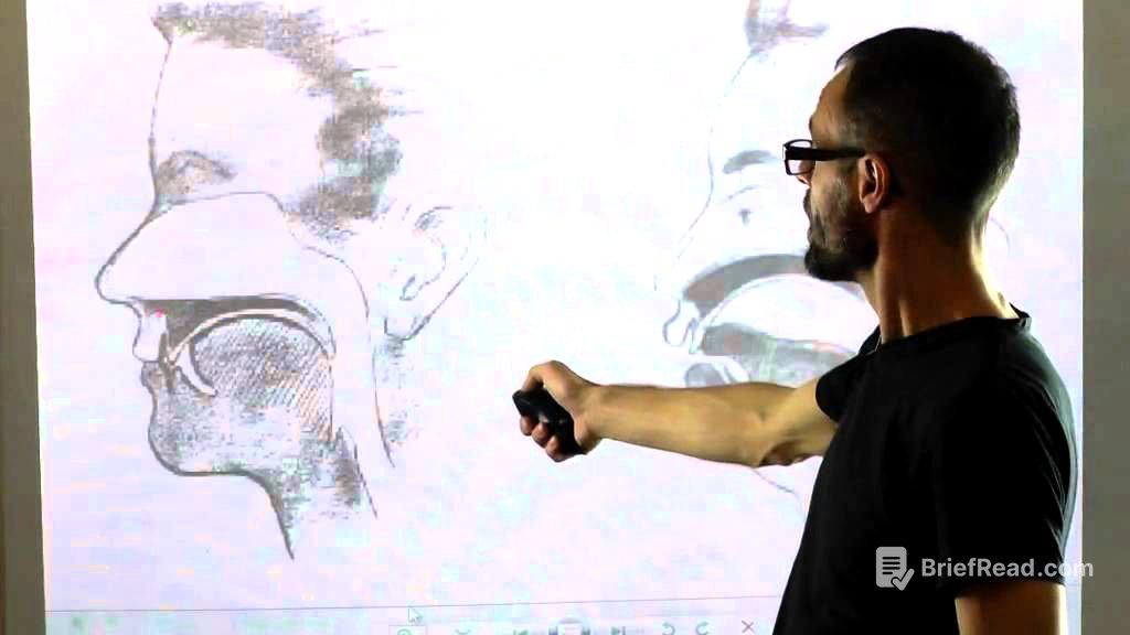 Should Tongue Rest/ Touch at the Palate/ Maxilla/ Roof of the Mouth By Dr Mike Mew