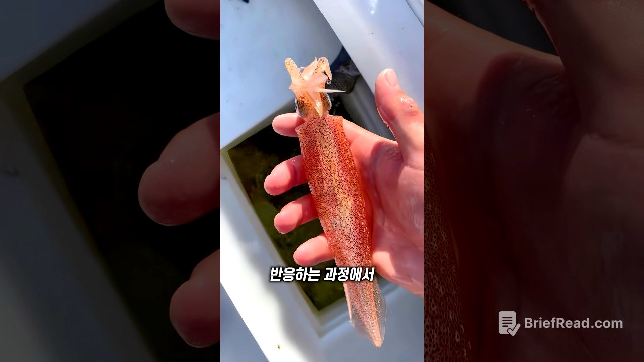 오징어의 색깔이 변하는 이유