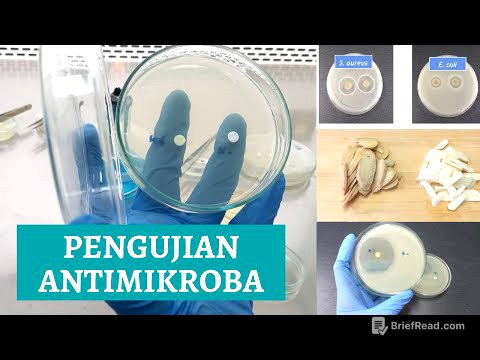 Pengujian Antimikroba/Antibakteri/Kirby Bauer/Paper Disc/Uji Daya Hambat/Mc Farland/Turbidimetri