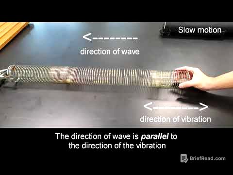 Longitudinal wave using slinky coil