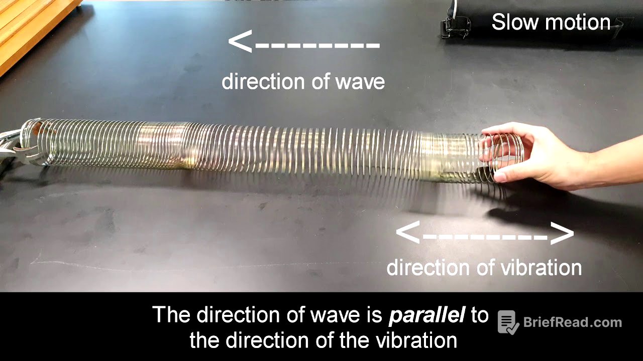 Longitudinal wave using slinky coil