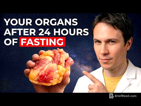 What Happens to Your Organs If You Fast for 24 Hours? (Science Explained)