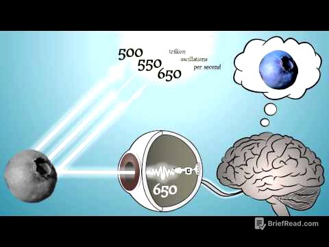 Color Only Exists In Your Brain!