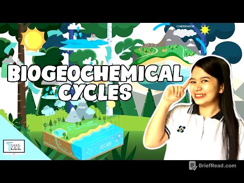 Biogeochemical Cycles | Biology