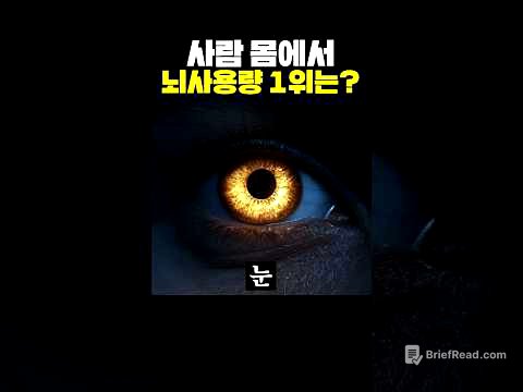 사람의 몸에서 뇌 사용량 1위는?