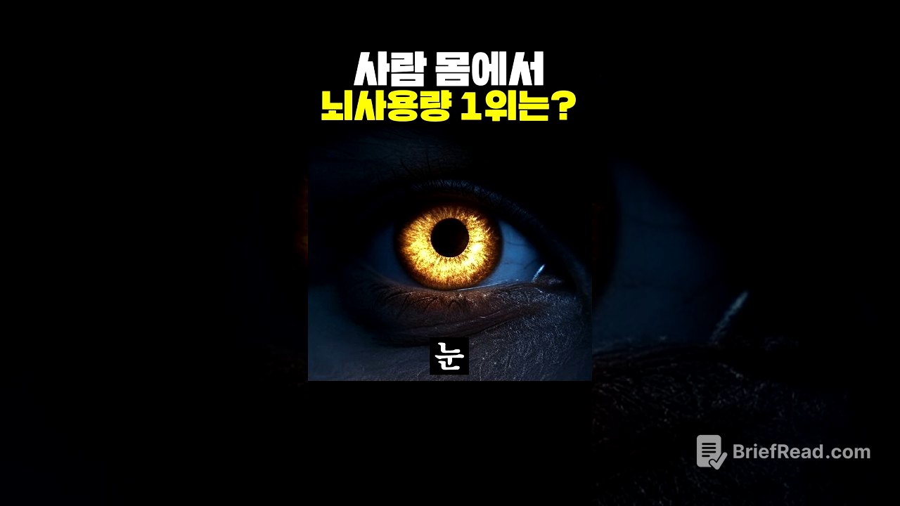 사람의 몸에서 뇌 사용량 1위는?