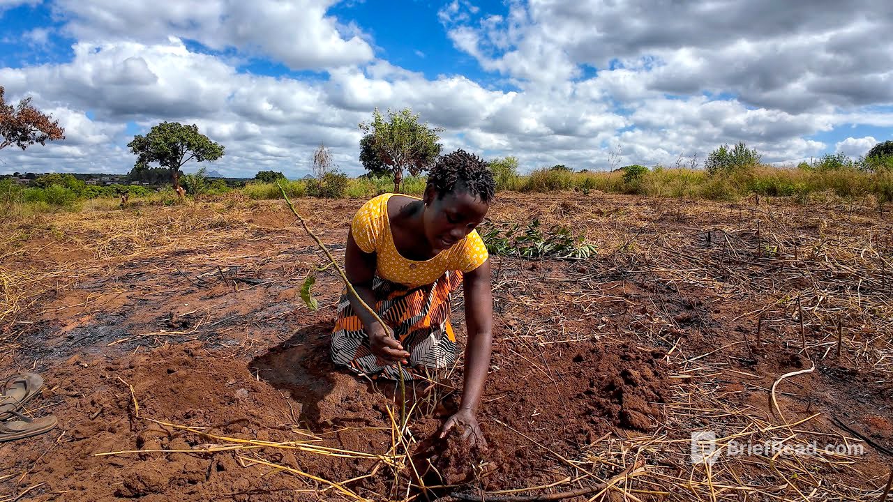 Eu e minha irmã saímos para plantar árvores frutíferas nos nossos novos terrenos.