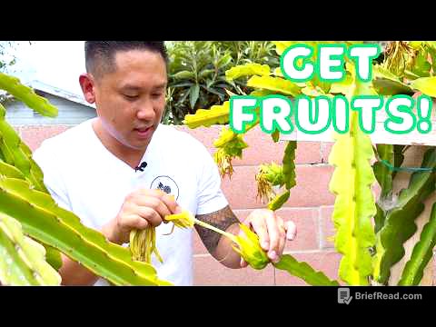 5 Reasons Your Dragon Fruit Isn’t Producing FRUIT Yet!