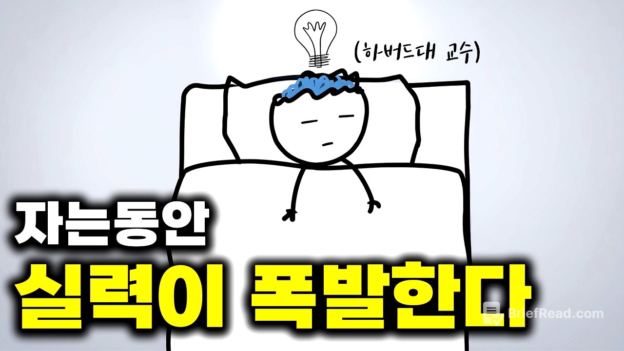 3개월 걸려 찾아낸, 게으른 천재들의 수면 루틴 3가지 (매우 쉬움, 팩트 기반)