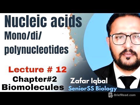Nucleic Acids/ mononucleotides/polynucleotides/DNA watson crick model/ dinucleotides
