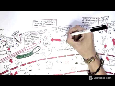 Immunology Map VII - Adaptive (Acquired) Immunity